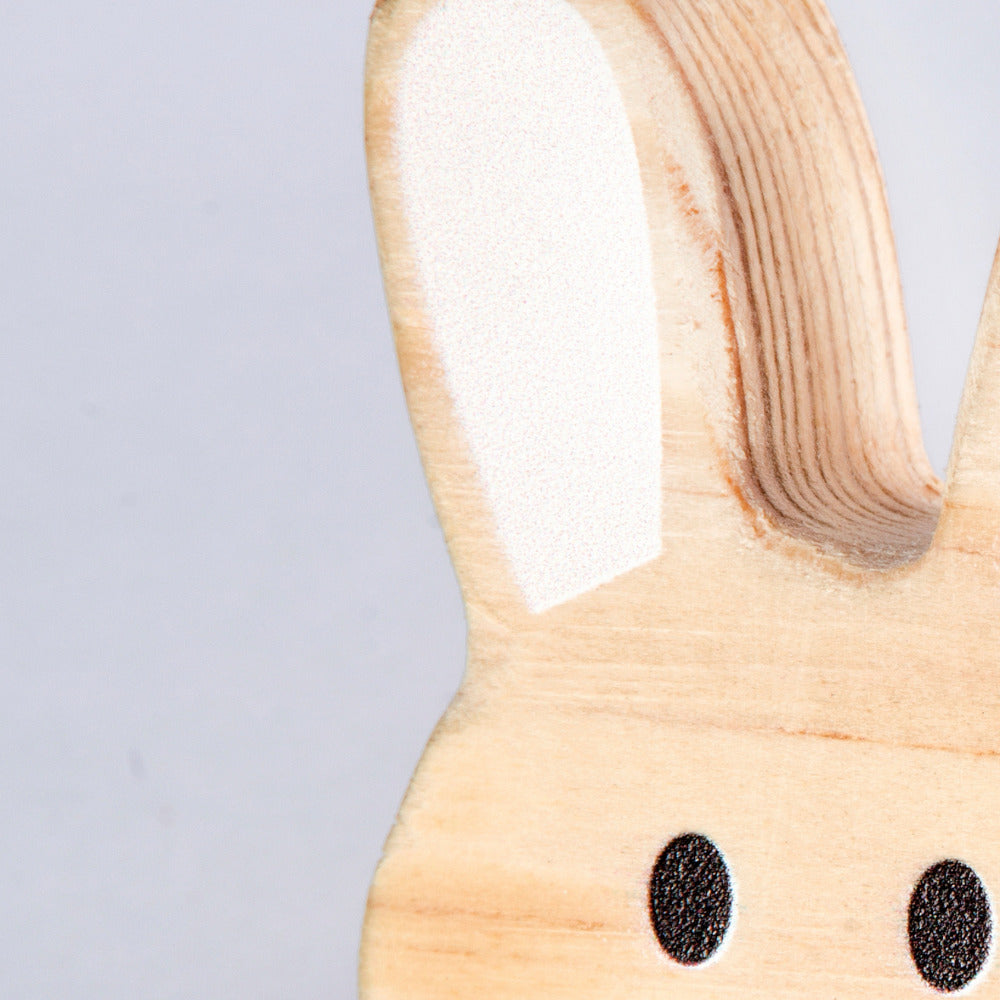 Bunny Buddy Combo – Gentle & Cute!