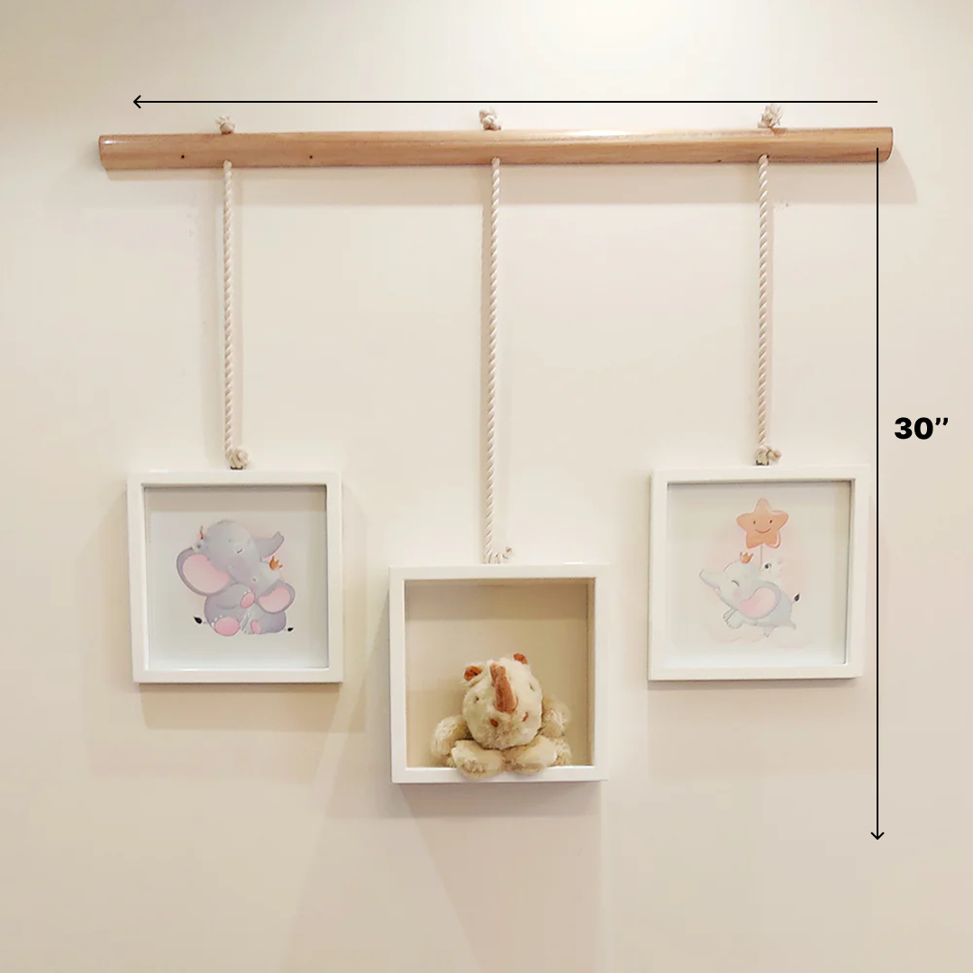 THE FRAME SHELF